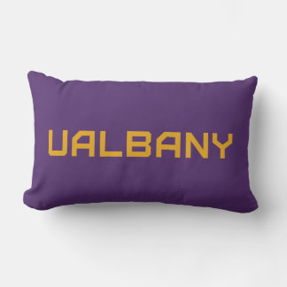 Universiteten i Albany Wordmark Lumbarkudde