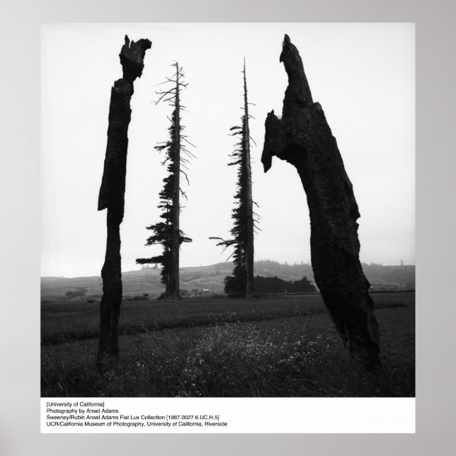 Universiteten i Kalifornien av Ansel Adams Poster (Framsidan)