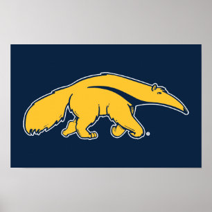 Universiteten i Kalifornien, Irvine Anteater Poster