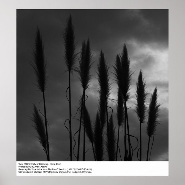 Universiteten i Kalifornien, Santa Cruz, Ansel Ada Poster (Framsidan)