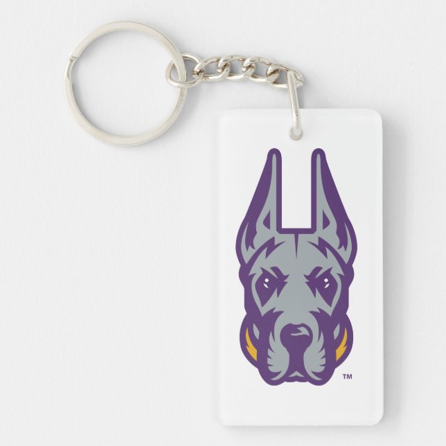 Universiteten vid Albany Great dane Mascot Head (Framsidan)