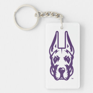 Universiteten vid Albany Great dane Mascot Head