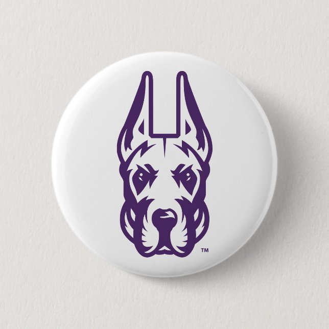 Universiteten vid Albany Great dane Mascot Head Knapp (Framsida)