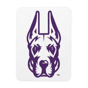 Universiteten vid Albany Great dane Mascot Head Magnet