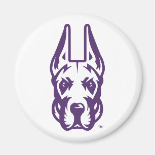 Universiteten vid Albany Great dane Mascot Head Magnet