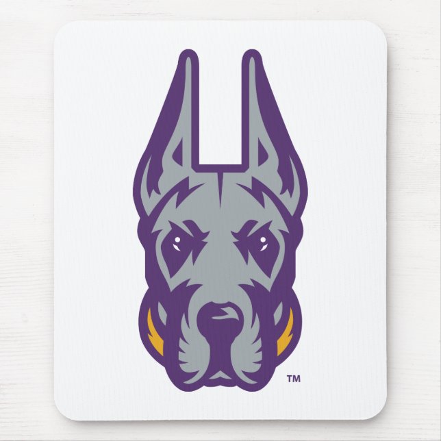 Universiteten vid Albany Great dane Mascot Head Musmatta (Framsidan)