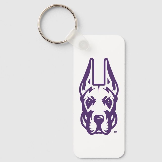 Universiteten vid Albany Great dane Mascot Head Nyckelring (Framsida)