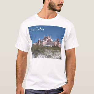 Universitetslärare CeSar Tee