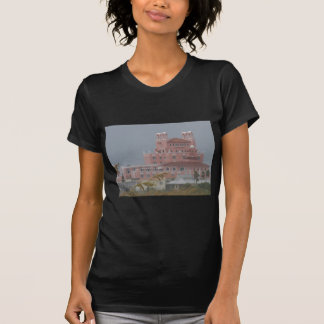 Universitetsläraren Cesar Tee Shirt
