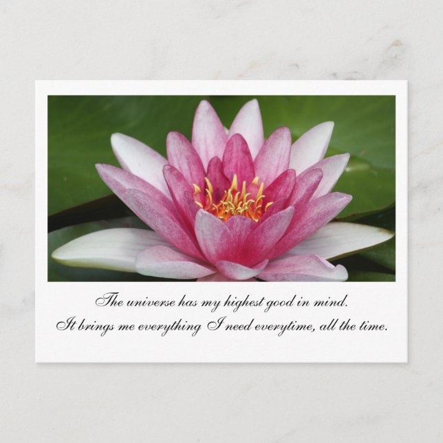 Universum Vykort (Framsida)