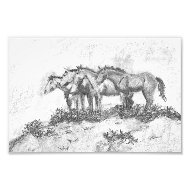 Untamed Fototryck (Framsidan)