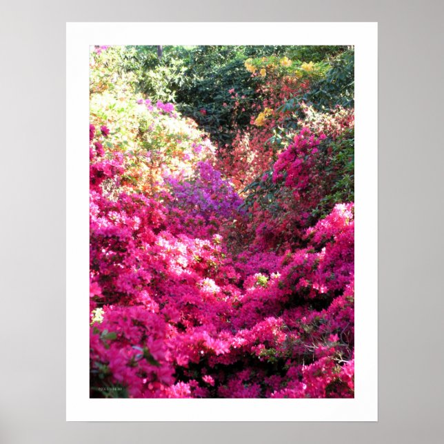 UNTITLED Rhododendron Floral Photography Poster (Framsidan)
