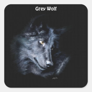 Unung GRÅTT VARG Wildlife Supporter Stickers Fyrkantigt Klistermärke