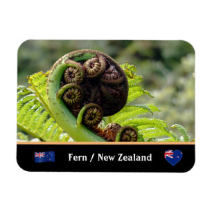 Unvikt Fern, Nya Zeeland, Wilderness Magnet