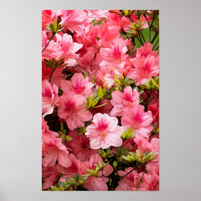 Up Close Poster (Framsidan)