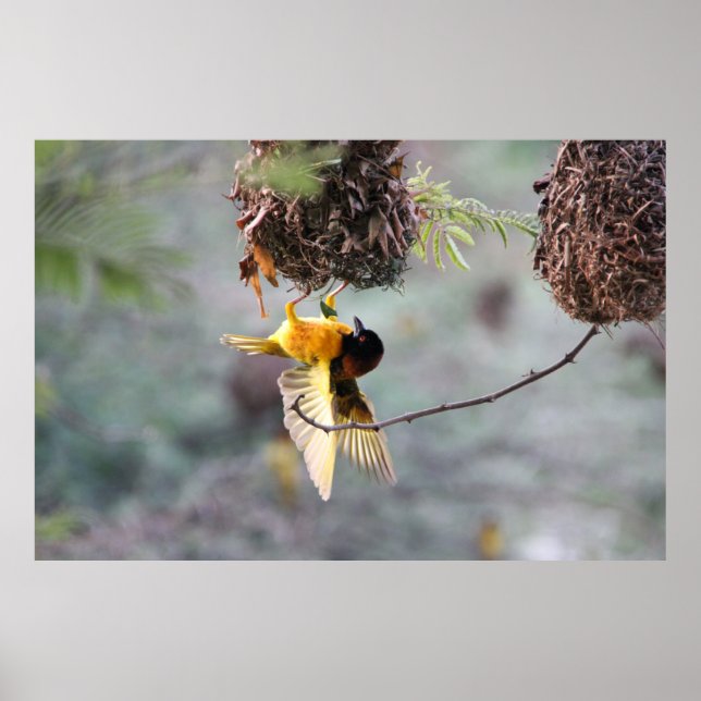 Up och ner poster (Framsidan)