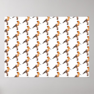 Upa epops epops Tiled Mönster Poster