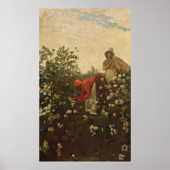 Upland Cotton Poster (Framsidan)