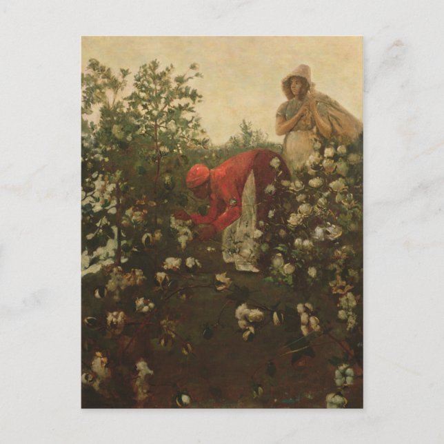 Upland Cotton Vykort (Framsida)