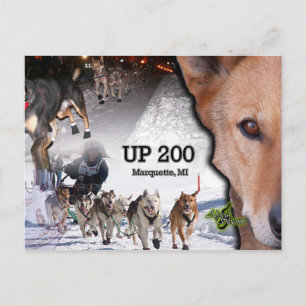 UPP 200 vykort för kollage