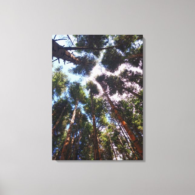 Upp Canvastryck (Framsida)