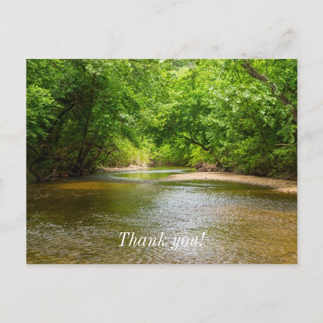 Upp För En Bäck Vykort (Framsida)