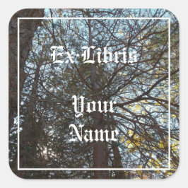 Upp genom Grenar bokskylten Fyrkantigt Klistermärke