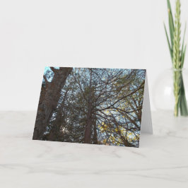 Upp genom Grenar Kort