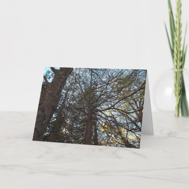 Upp genom Grenar Kort (Framsida)