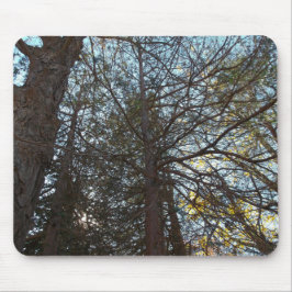 Upp genom Grenar Musmatta