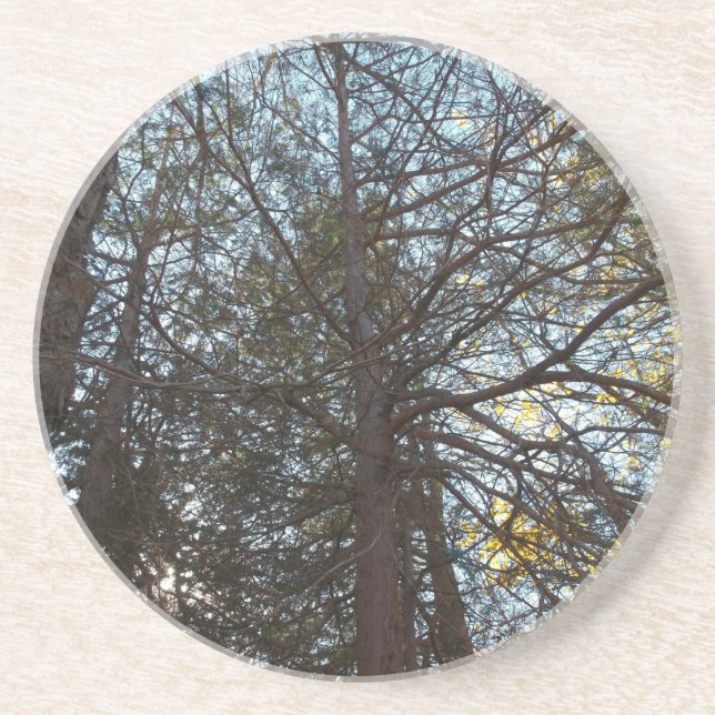 Upp genom Grenar Underlägg (Framsidan)