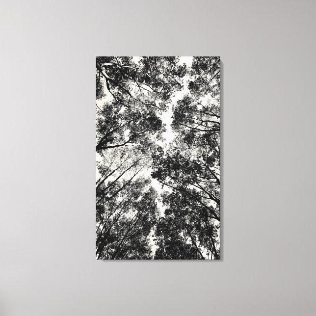 Upp genom Träd, 2018 | SVP BILDER (Framsida)