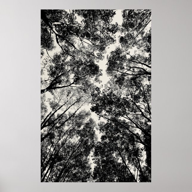 Upp genom Träd, 2018 | SVP BILDER Poster (Framsidan)