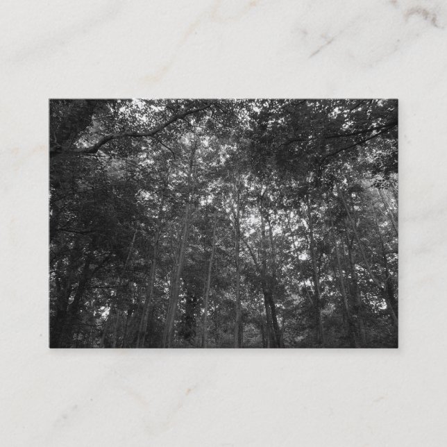 Upp i Träd, Mini Photo Visitkort (Framsida)