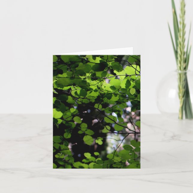 Upp i träden notera kortet kort (Framsida)