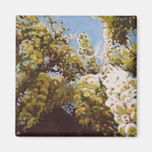 Upp in i wisteriaen 2011 magnet
