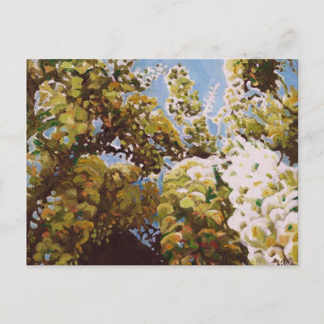 Upp in i wisteriaen 2011 vykort (Framsida)