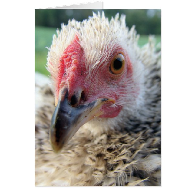 Upp nära och Personligt med ett fönster Hälsningskort (Framsidan)