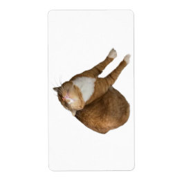 Upp-och-ner Solsken Katt Fraktsedel