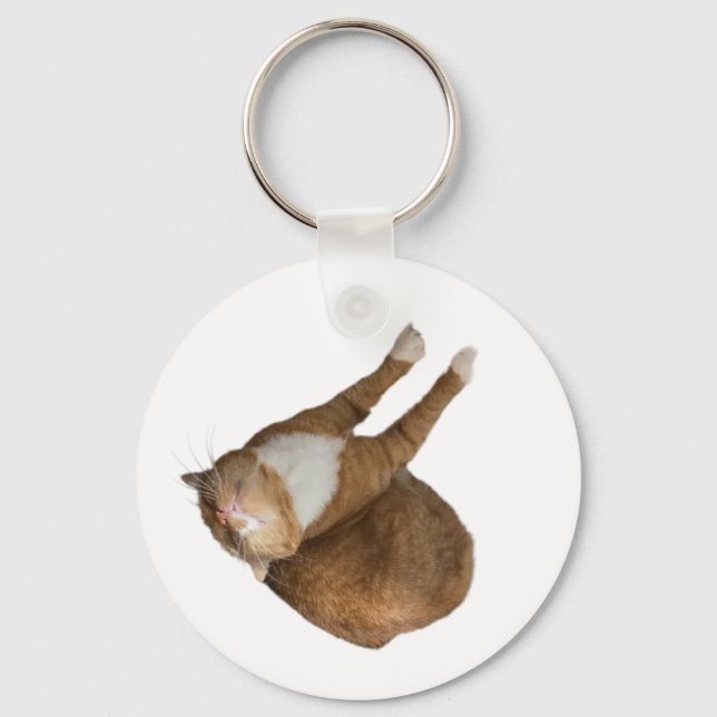  Upp-och-ner Solsken Katt Nyckelring (Framsida)