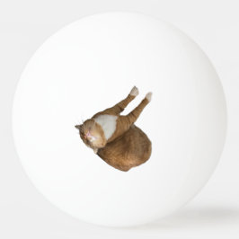 Upp-och-ner Solsken Katt Pingisboll