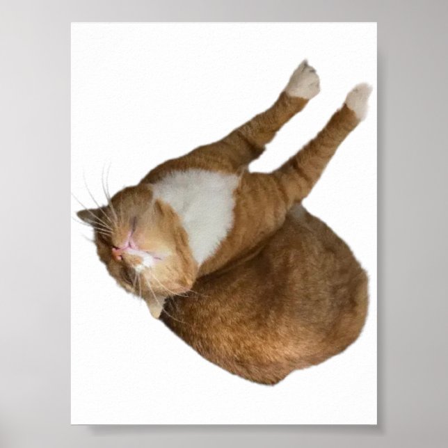  Upp-och-ner Solsken Poster (Framsidan)