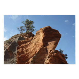Upp till Angels Landing i Zion National Park Fototryck
