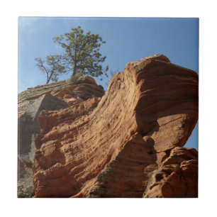 Upp till Angels Landing i Zion National Park Kakelplatta