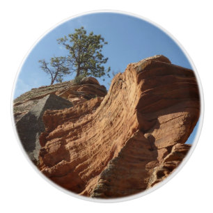 Upp till Angels Landing i Zion National Park Knopp