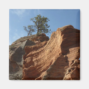 Upp till Angels Landing i Zion National Park Magnet