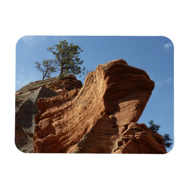 Upp till Angels Landing i Zion National Park Magnet (Horisontell)