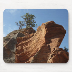 Upp till Angels Landing i Zion National Park Musmatta