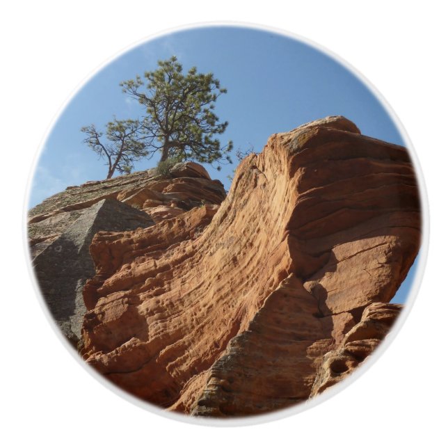 Upp till Änglar landning i Zions nationalpark Knopp (Framsidan)