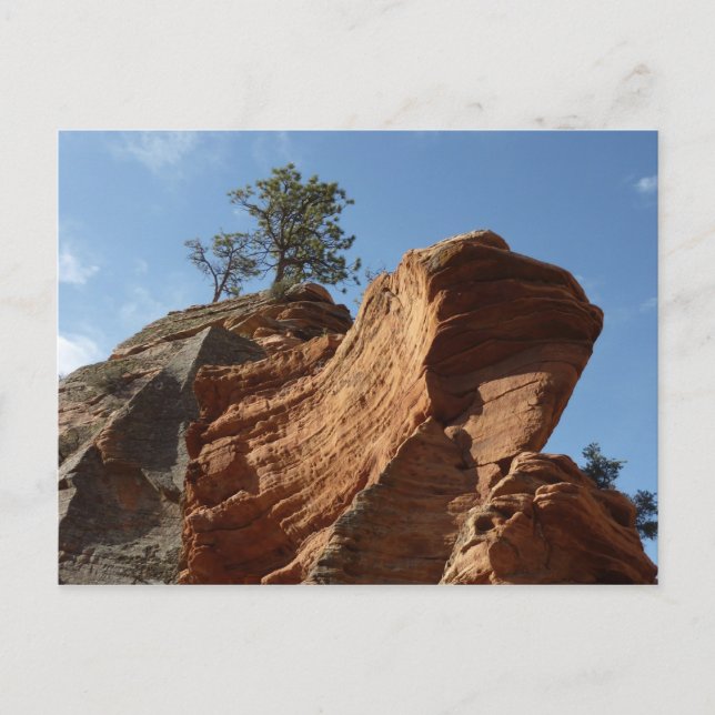 Upp till Änglar landning i Zions nationalpark Vykort (Framsida)